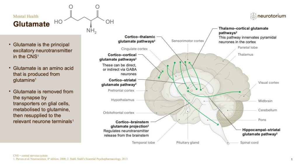 Mental Health - Fundamentals of Neurobiology - slide 14